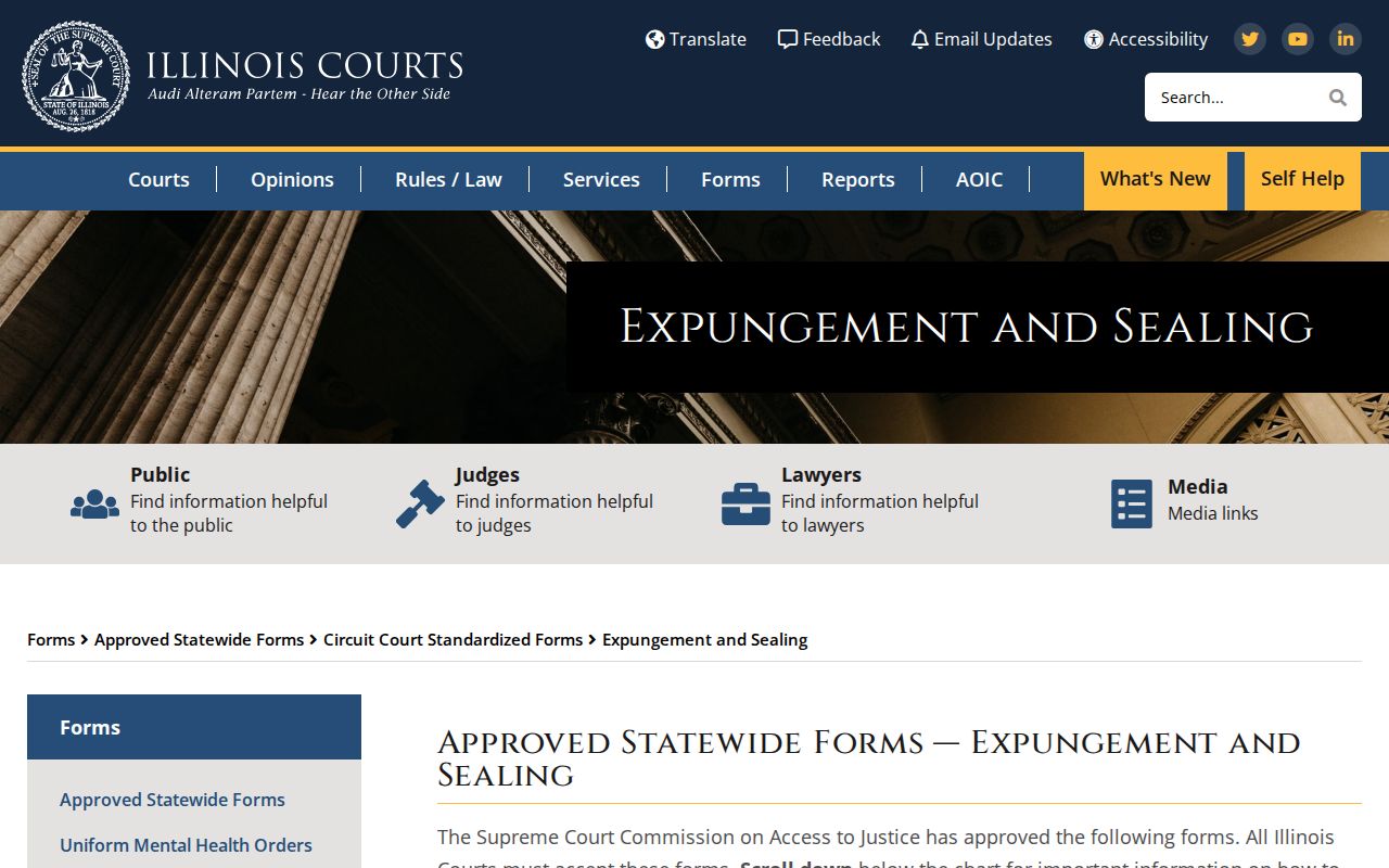 Iroquois County criminal record expungement and sealing forms
